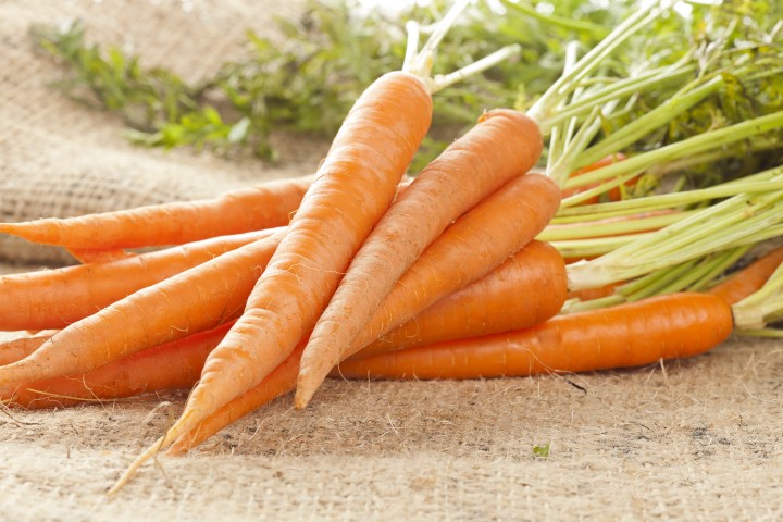 Karotten Ziehen