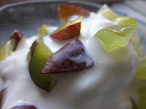 FrozenYoghurt2dk.jpg
