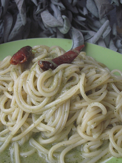 Pasta mit Salbeipesto.jpg