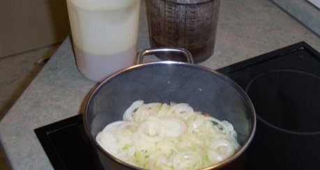 Nietzsches Zwiebelsuppe