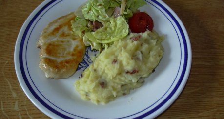 Hühnchenbrustfilet Natur mit Kartoffelbrei und Salat