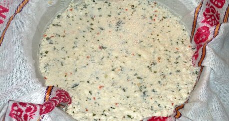 Panir (Paneer) - indischer Käse selbstgemacht (ähnlich Mozzarella)