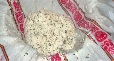 Panir (Paneer) - indischer Käse selbstgemacht (ähnlich Mozzarella)
