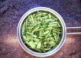 Rezept Auflauf von grünen Bohnen