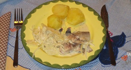 Salzhering in Apfel-Zwiebel-Sahne Marinade