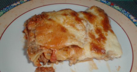 Lasagner-Röllchen  (  Canneloni  )