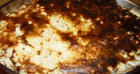 buntes Quarkgratin mit Hack (Hauptgericht)