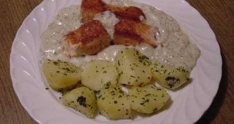 marinierte Lachsfilets mit Dillsauce - Element Wasser trifft Erde