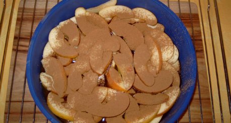 Apfel-Brot-Tarte