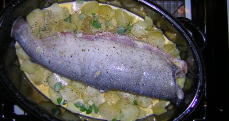 Lachs gebacken auf Majoran-Kartoffeln