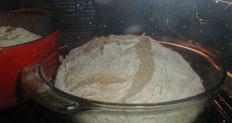 No-Knead Bread (Brot für Knetfaule)