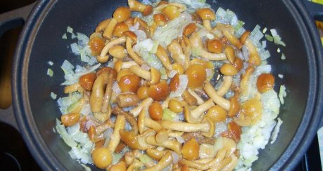 Spagetti mit Pilzen und roten Linsen-Tomatensoße