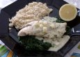 Fischfilet mit Weissweinsauce im Spinatbett