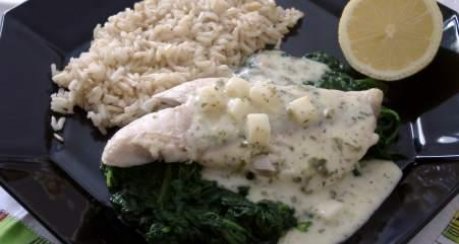 Fischfilet mit Weissweinsauce im Spinatbett