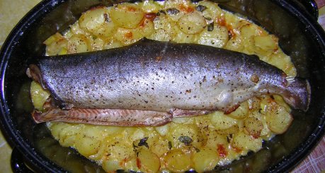 Lachs gebacken auf Majoran-Kartoffeln