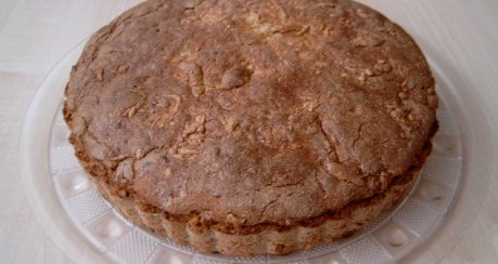 Roggenschrot-Joghurt-Brot oder -Brötchen Nr. 20050227