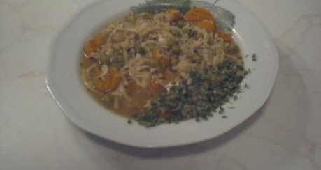 Hühnersuppe Nr. 20041228 (für Tecy)