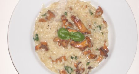 Pfifferling-Risotto (Risotto ai Finferli)