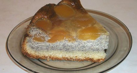 Vesuvio (eigentlich Mohnkuchen mit Aprikosen)