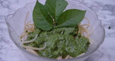 Pesto Verde - vielseitig & lecker