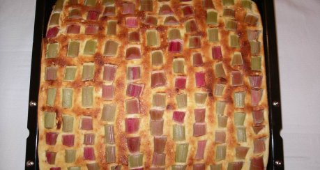 Quark - Rhabarberkuchen auf Hefeteig