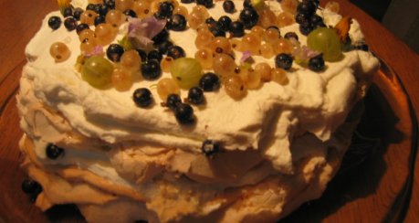 PAVLOVA