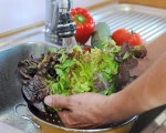 Heiß und kalt: Die Wassertemperatur entscheidet beim Salatwaschen
