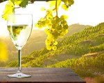 Italienische Weine: Prozentiger Traubengenuss
