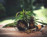CBD als Superfood – Wie gesund ist es?