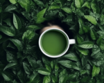 Grüner Tee: gesunder Allrounder mit Mehrwert