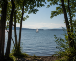 Chiemsee-Renke wie vom Profi – Rezept und Genuss-Tipp für Bayern-Fans
