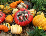 Das Auge isst mit: Ideen für eine herbstliche Tischdekoration