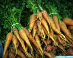 Der Frühling naht: Saisonbeginn für Obst und Gemüse