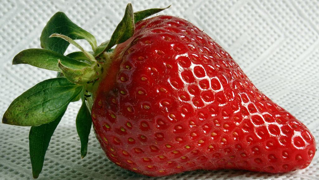 Erdbeermarmelade selber machen: Fruchtig-süße Vielfalt - Tipps ...