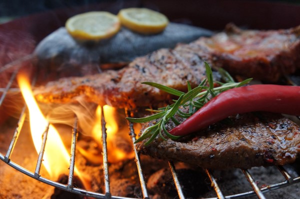 Fleisch und Fisch grillen