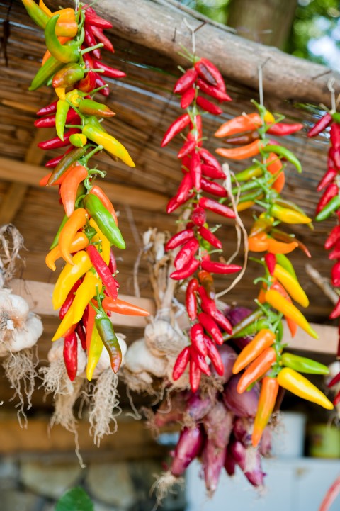 Chili Schoten