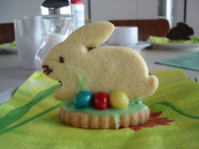 Rezeptfoto