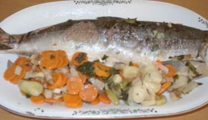 Rezeptfoto