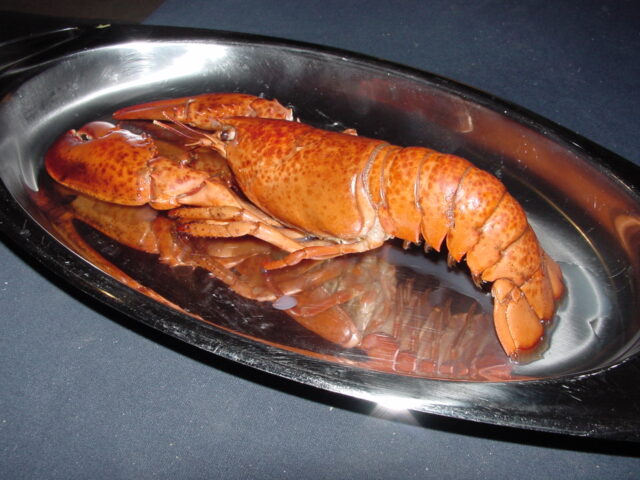 Rezeptfoto