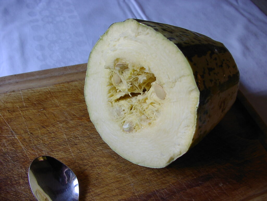 Rezeptfoto