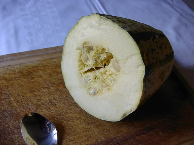 Rezeptfoto